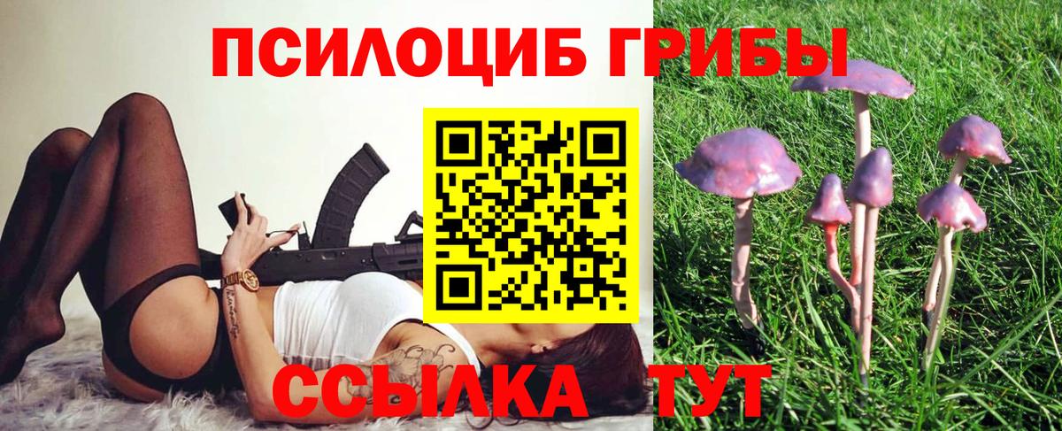 Галлюциногенные грибы Psilocybe  хочу   Волхов  Вход с VPN 