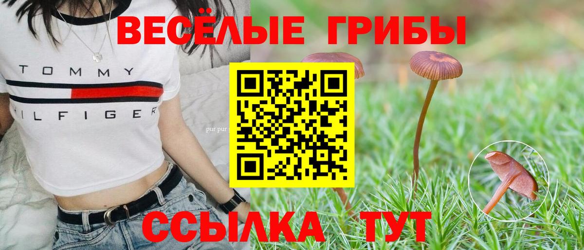 Псилоцибиновые грибы ЛСД Волхов